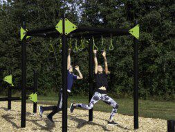 Trapeze Swings
